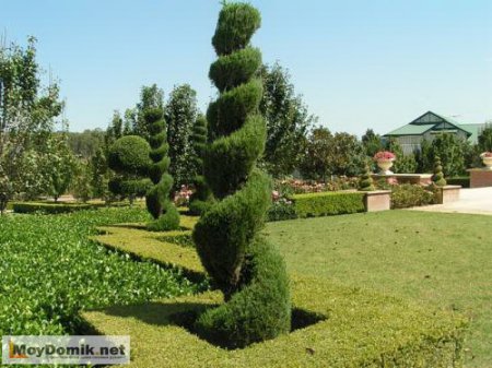 Ландшафтная архитектура и дизайн − современное искусство или жизненная необходимость?