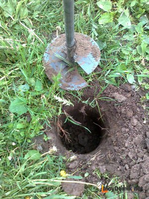 Бур садовый ручной для земляных работ своими руками