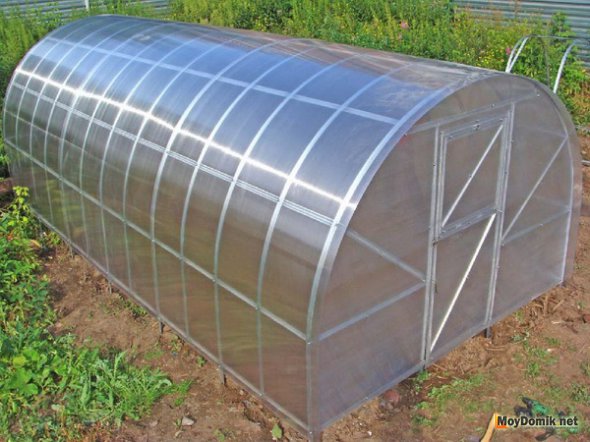 Теплица из поликарбоната своими руками