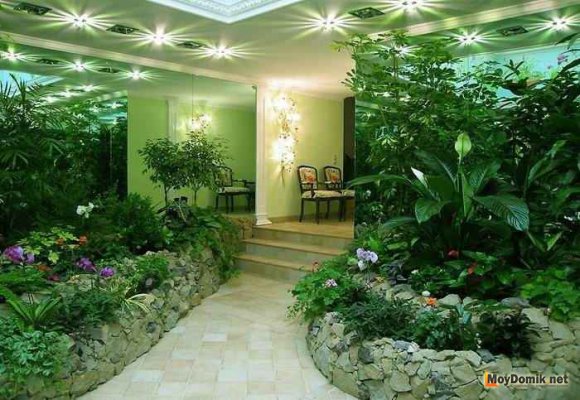 Дизайн зимнего сада в квартире Дизайн зимнего сада в квартире