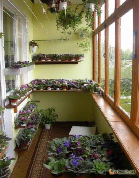 Пример зимнего сада на лоджии Пример зимнего сада на лоджии