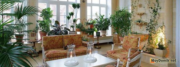 Зимний сад в квартире своими руками Зимний сад в квартире своими руками