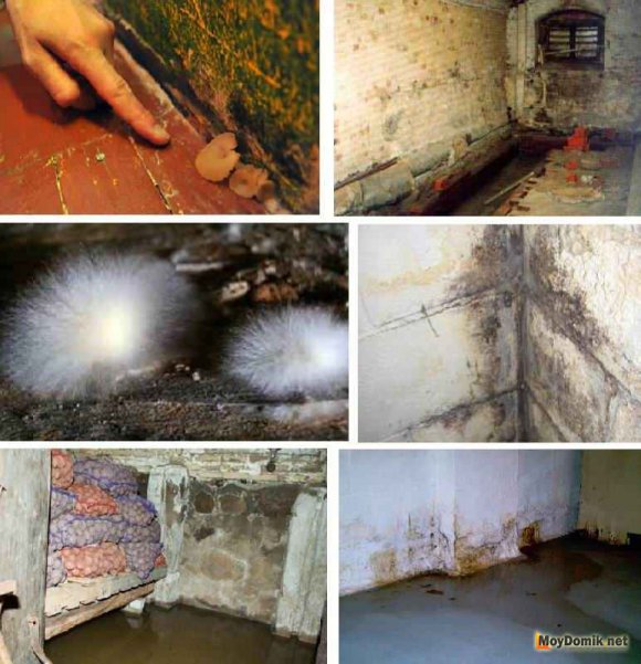 Гидроизоляция подвала изнутри своими руками – способы устройства, материалы и технологии нанесения