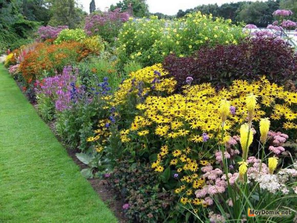 Ухоженный миксбордер