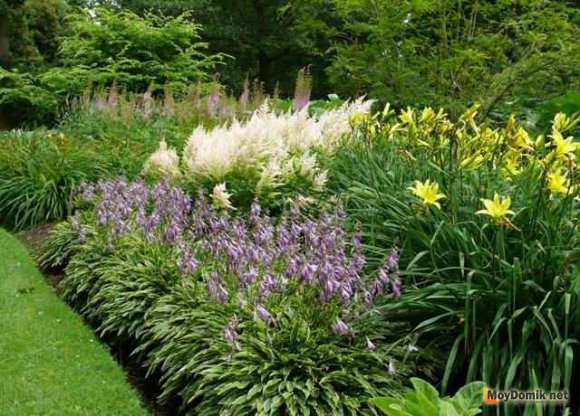 Интересный миксбордер