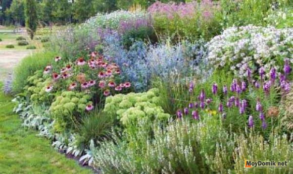 Ярусный миксбордер