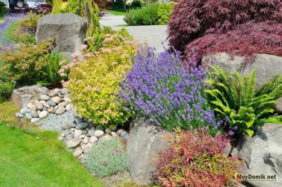 Альпийская горка на даче своими руками Альпийская горка на даче своими руками