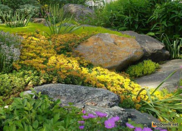 Альпийская горка с большими камнями Альпийская горка с большими камнями