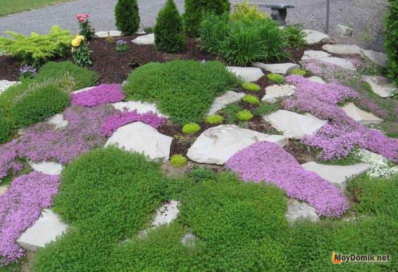 Цветущая альпийская горка Цветущая альпийская горка