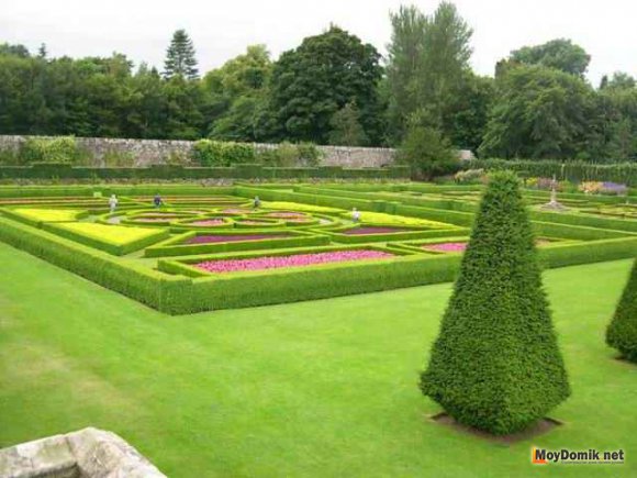 Партерный газон – зеленый оазис совершенства на вашем загородном участке