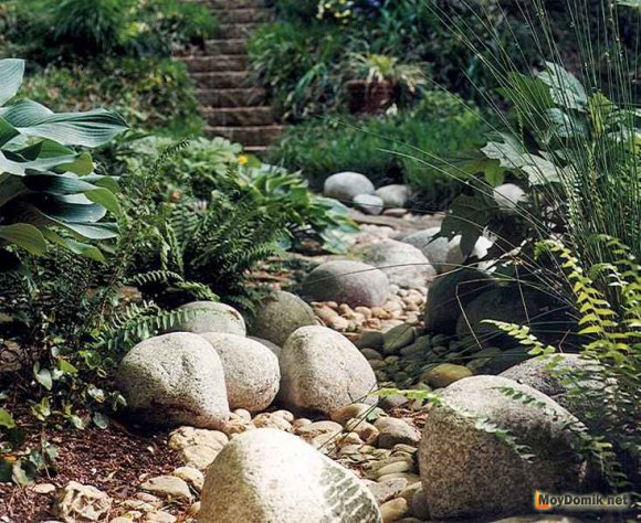 Дизайн сухого ручья