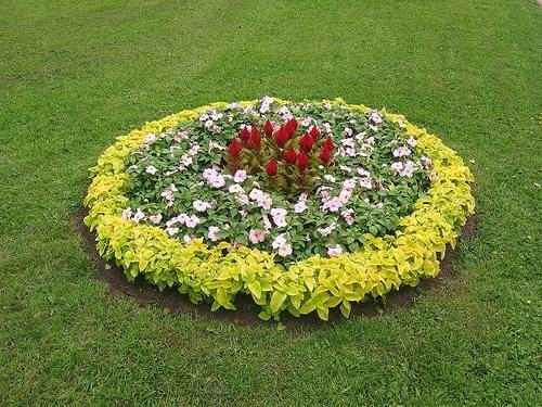 Клумбы из многолетников своими руками – оформляем красивый цветник