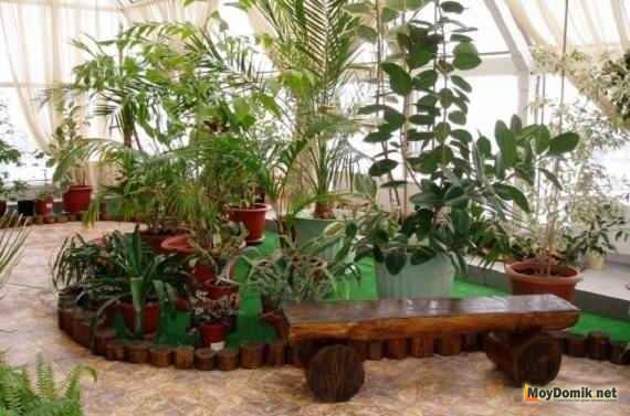 Устройство зимнего сада на крыше