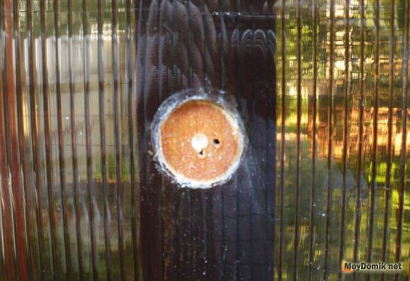 Крепление поликарбоната