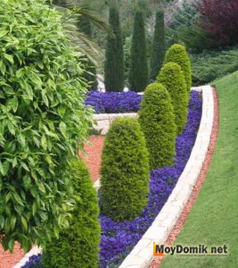 Оформление рабатки с деревьями