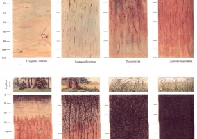 Карта глубины промерзания грунтов Карта глубины промерзания грунтов