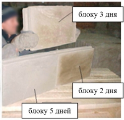 Отличие пеноблоков на разных стадиях