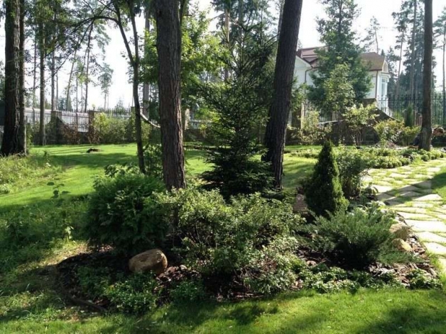 Ландшафтный дизайн дачного участка в загородном (лесном) стиле