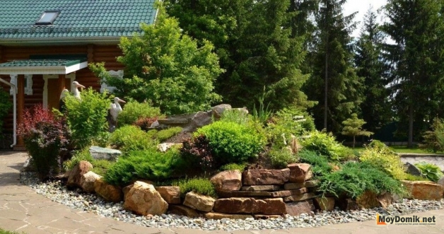 Альпийская горка своими руками Альпийская горка своими руками