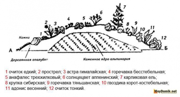 Альпийская горка - схема 1 Альпийская горка - схема 1