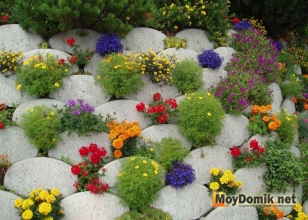 Яркая клумба из камней